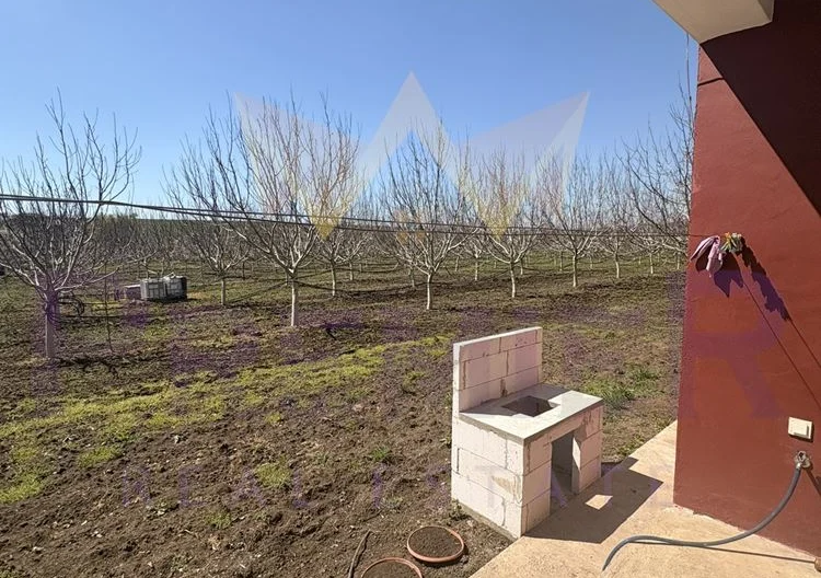 Просторна къща с 20 декара орехови насаждения със собствен водоизточник в с. Малка поляна -  - снимка 2 - Имоти Премиер