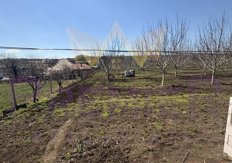 Просторна къща с 20 декара орехови насаждения със собствен водоизточник в с. Малка поляна -  - снимка 4 - Имоти Премиер