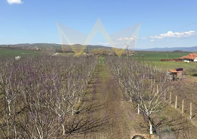 Просторна къща с 20 декара орехови насаждения със собствен водоизточник в с. Малка поляна -  - снимка 5 - Имоти Премиер