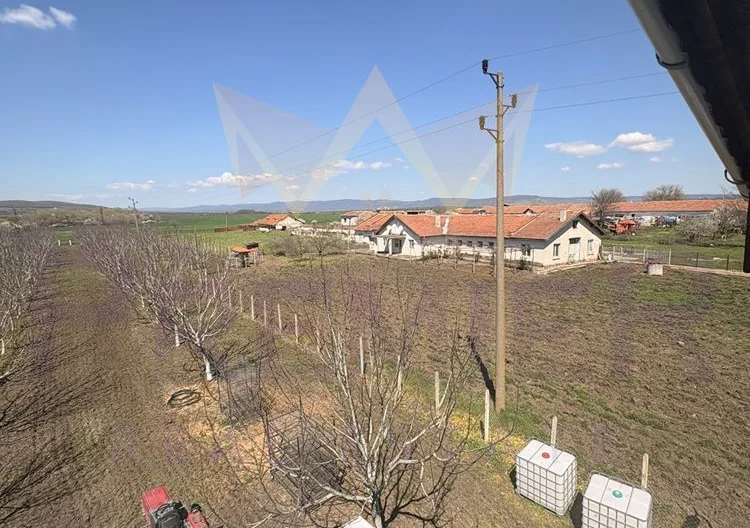 Просторна къща с 20 декара орехови насаждения със собствен водоизточник в с. Малка поляна -  - снимка 6 - Имоти Премиер