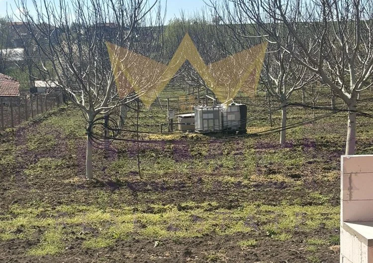 Просторна къща с 20 декара орехови насаждения със собствен водоизточник в с. Малка поляна -  - снимка 7 - Имоти Премиер