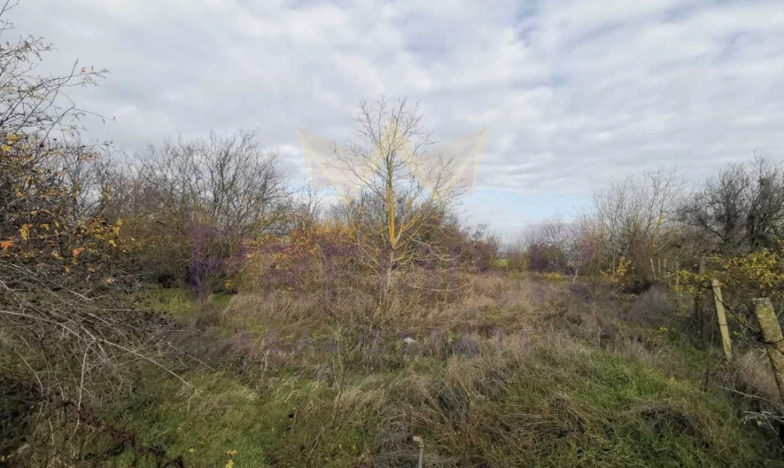 Regulated Plot in the village of Tsarichino -  - snimka 2 - Imoti Premier