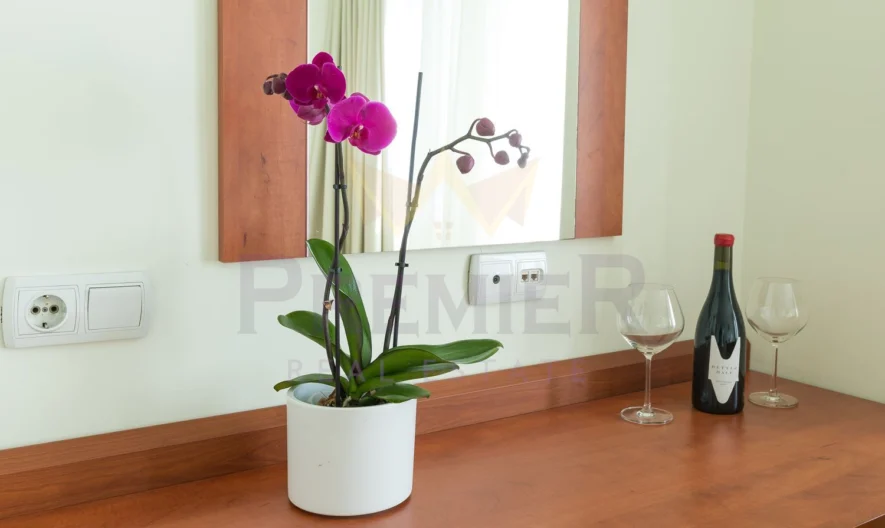 Реновиран хотел в сърцето на Банско  4* -  - снимка 18 - Имоти Премиер