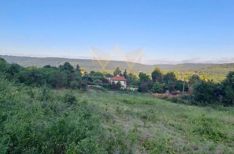 с.Долище - - снимка 1 - Имоти Премиер