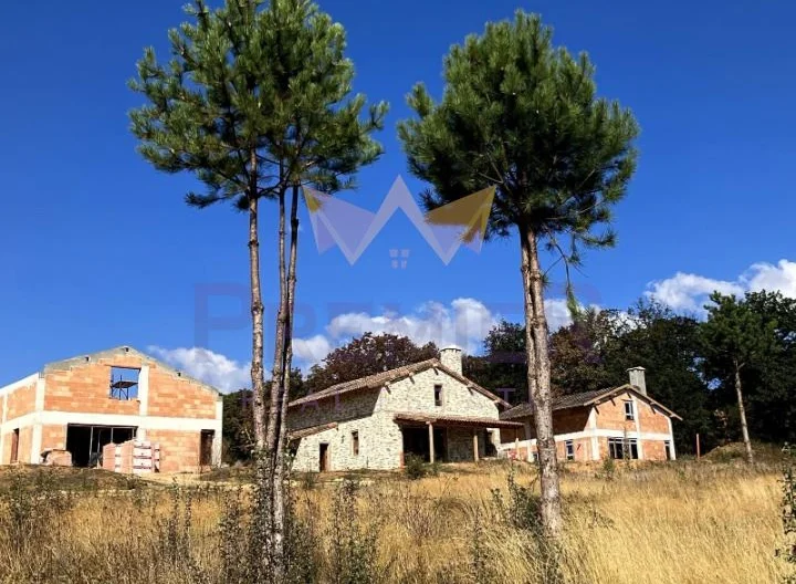 Стилна къща с просторен двор и изключителна локация в с. Приселци, обл. Варна -  - снимка 10 - Имоти Премиер