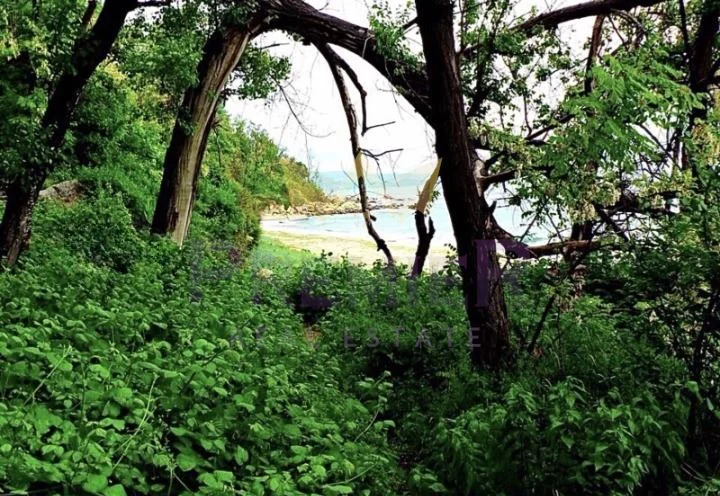 Стилна къща с просторен двор и изключителна локация в с. Приселци, обл. Варна -  - снимка 14 - Имоти Премиер