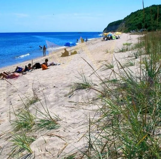 Стилна къща с просторен двор и изключителна локация в с. Приселци, обл. Варна -  - снимка 16 - Имоти Премиер