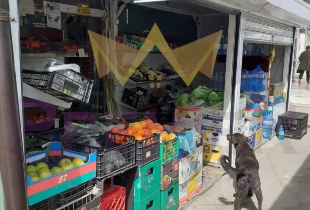 Агенция за недвижими имоти - Имоти Премиер - имот - 852767, Цена: 27000 EUR