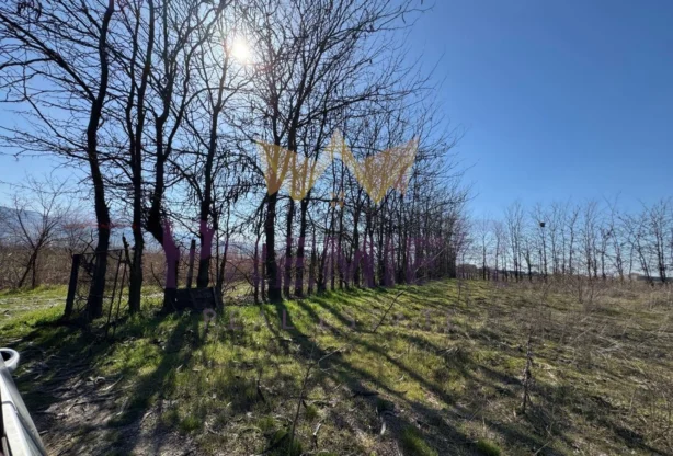 Ingatlaniroda - Imoti Premier - imot - 1203512, Ár: 602080 EUR