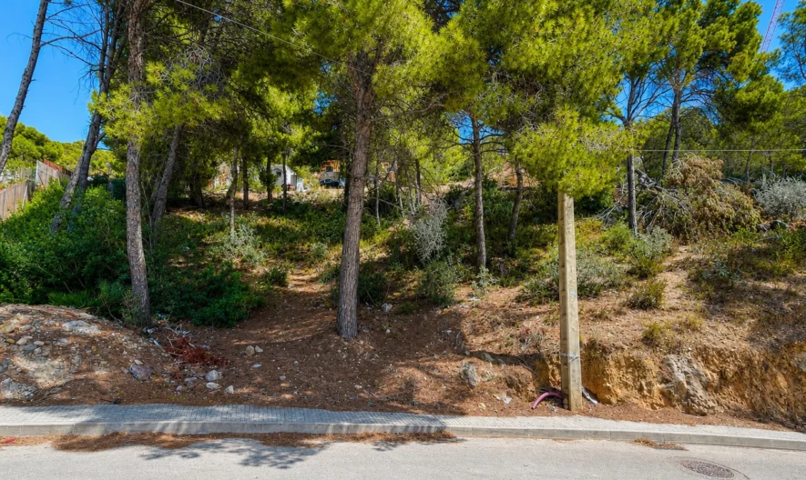Telek Camp de Marban, Mallorcán -  - snimka 1 - Imoti Premier