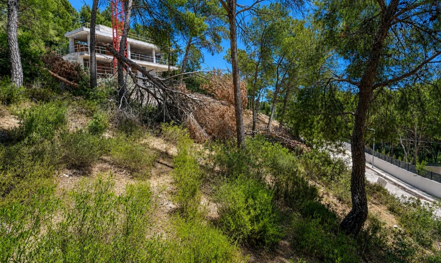Telek Camp de Marban, Mallorcán -  - snimka 1 - Imoti Premier