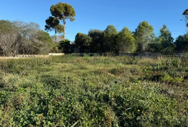 Ingatlaniroda - Imoti Premier - imot - 1212610, Ár: 340000 EUR