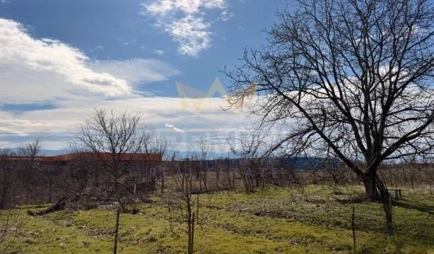 Ingatlaniroda - Imoti Premier - imot - 1203346, Ár: 871500 EUR