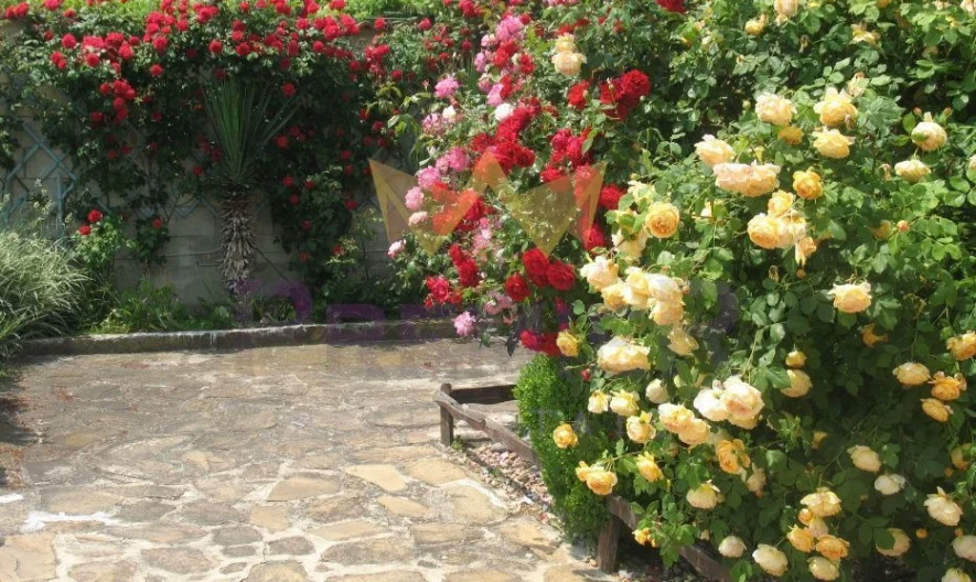 Триетажна къща с басейн в с.Близнаци -  - снимка 8 - Имоти Премиер