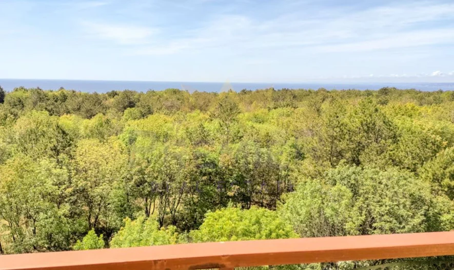 Тристаен апартамент -  - снимка 19 - Имоти Премиер