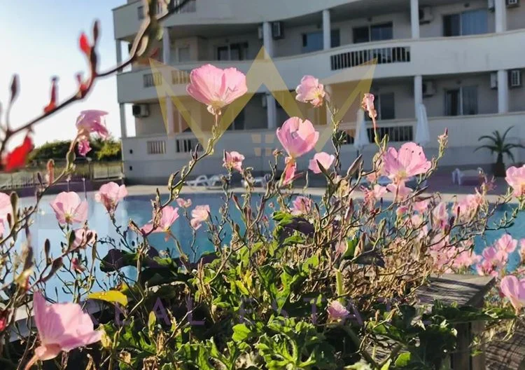 Тристаен апартамент в гр. Бяла, област Варна -  - снимка 1 - Имоти Премиер