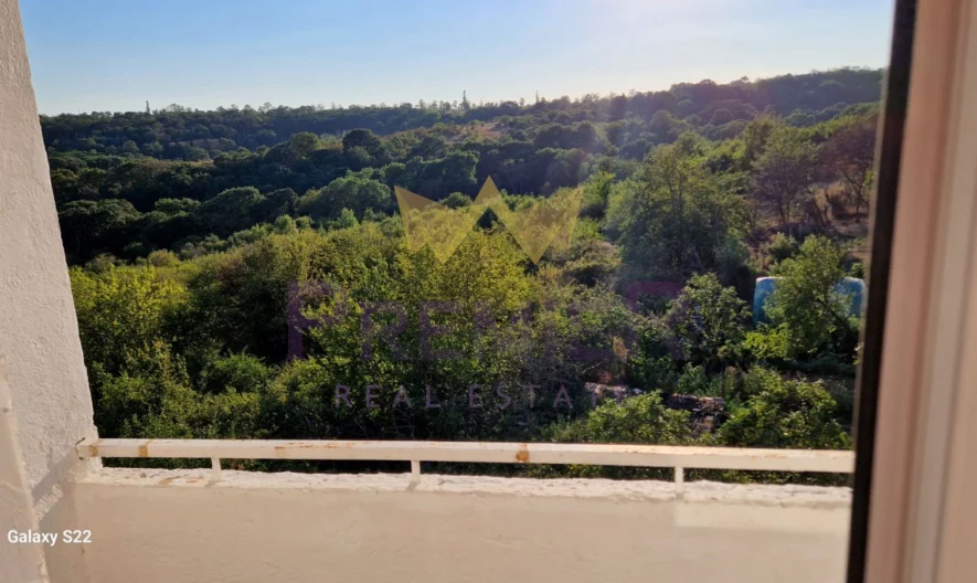 Тристаен апартамент в с. Близнаци -  - снимка 7 - Имоти Премиер