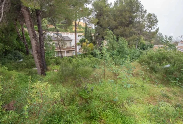 Агентство недвижимости - Имоти Премиер - имот - 1212413, Цена: 250000 EUR