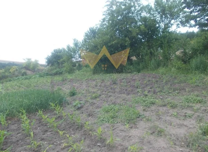 Участок в с. Рояк, обл. Варна - - снимка 2 - Имоти Премиер