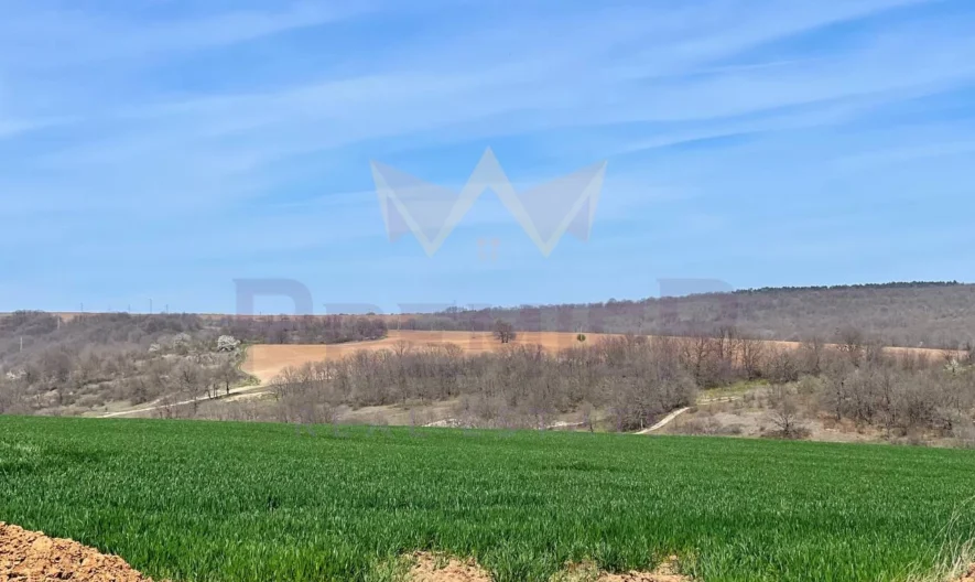 Уникален парцел с панорамна гледка и потенциал за инвестиция в с. Близнаци 19 100 м2 -  - снимка 4 - Имоти Премиер