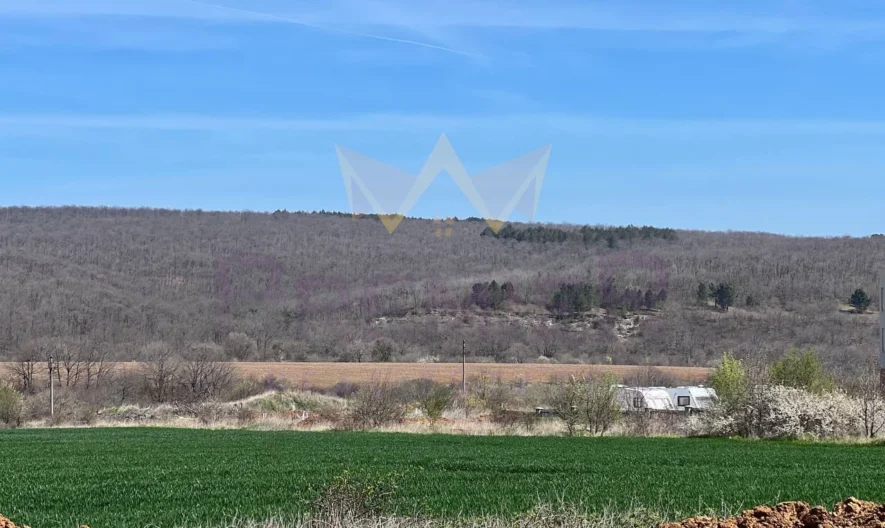 Уникален парцел с панорамна гледка и потенциал за инвестиция в с. Близнаци 19 100 м2 - - снимка 7 - Имоти Премиер