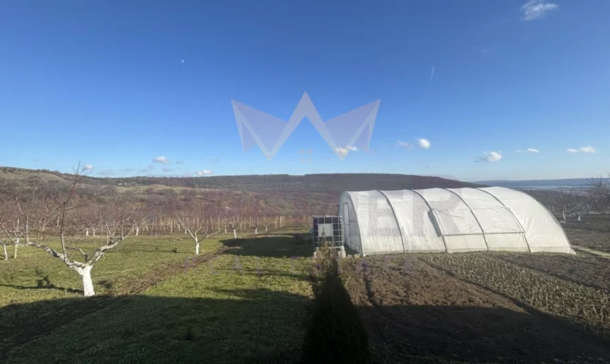 Вила в с. Калиманци -  - снимка 13 - Имоти Премиер