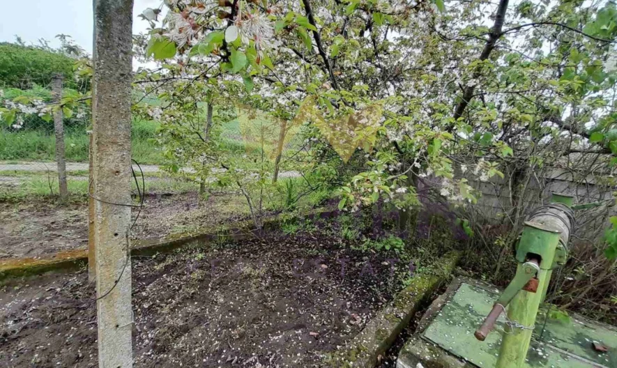 Вила във вилната зона на с. Приселци -  - снимка 29 - Имоти Премиер