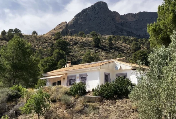Агенция за недвижими имоти - Имоти Премиер - имот - 1211965, Цена: 279000 EUR