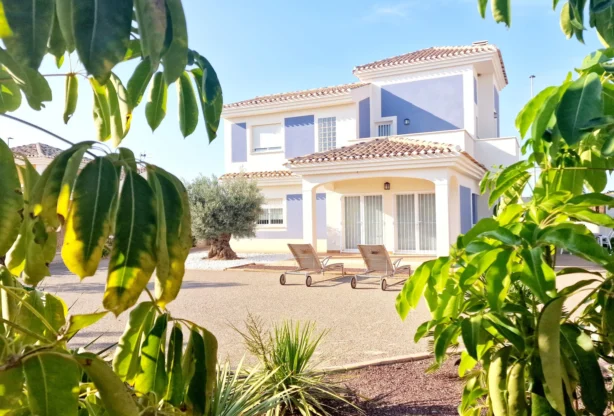 Real Estate Agency - Imoti Premier - imot - 1210152, Price: 389000 EUR
