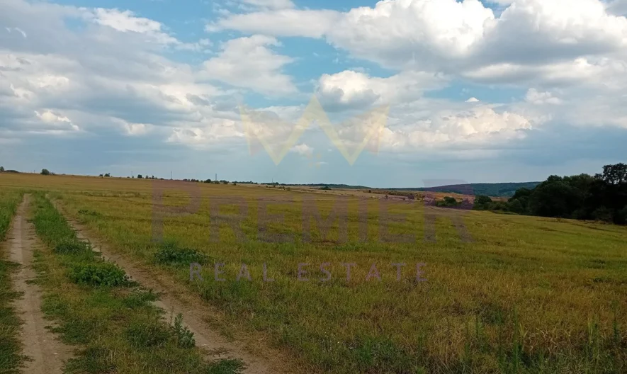 Земеделска земя.Овощна Градина -  - снимка 1 - Имоти Премиер