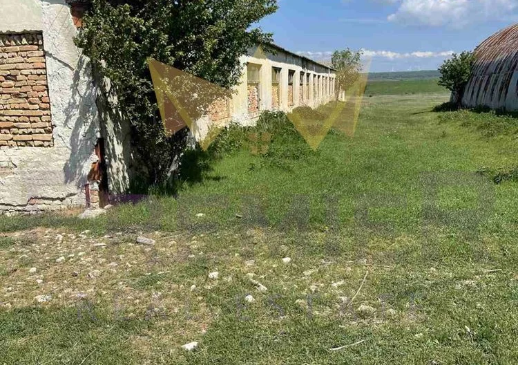 Животновъдна ферма Суворово - - снимка 12 - Имоти Премиер