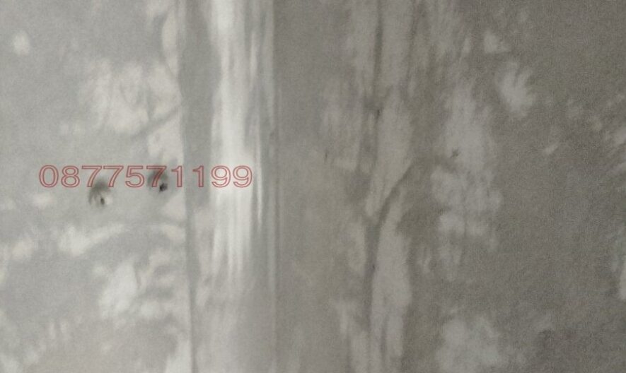 2-стаен – Възраждане 1 -  - снимка 3 - Имоти Премиер