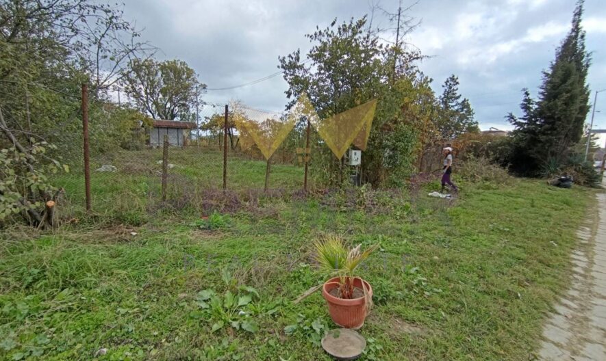 376029 - - снимка 4 - Имоти Премиер