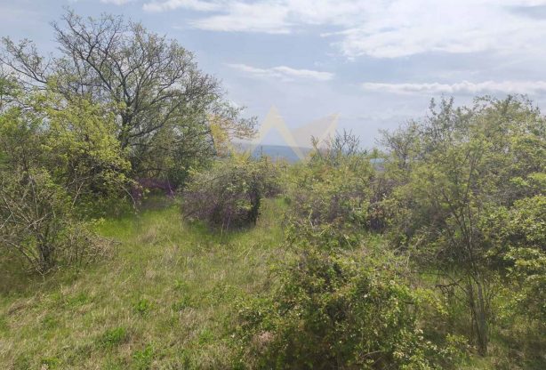 Агенция за недвижими имоти - Имоти Премиер - имот - 1016448, Цена: 40000 EUR