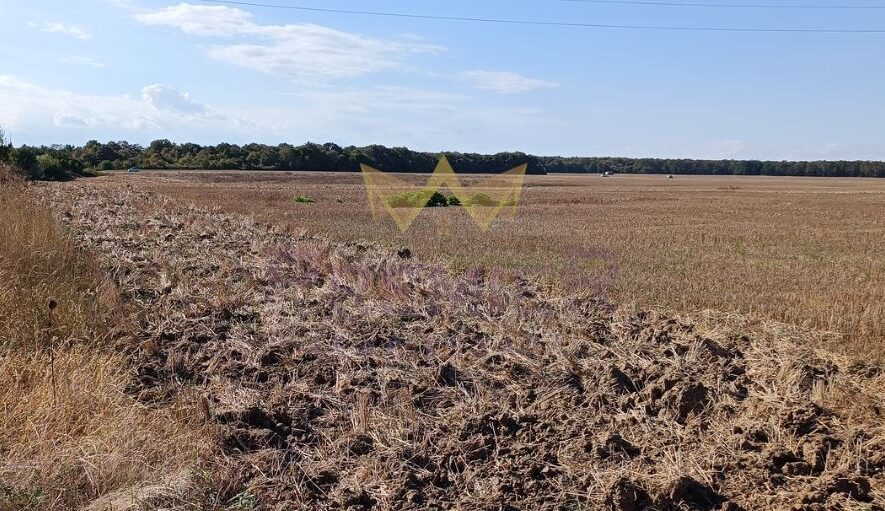 Агенция за недвижими имоти - Имоти Премиер - имот - 1093444, Цена: 493500 EUR