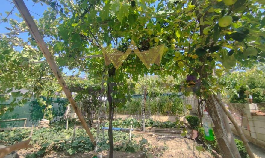 Агенция за недвижими имоти - Имоти Премиер - имот - 1048885, Цена: 84000 EUR
