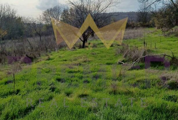 Агенция за недвижими имоти - Имоти Премиер - имот - 1099732, Цена: 125000 EUR