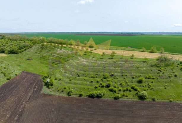 Имоти Премиер - имот - 1006116, Площ: 20000 м<sup>2</sup>, Цена: 20451.68 EUR