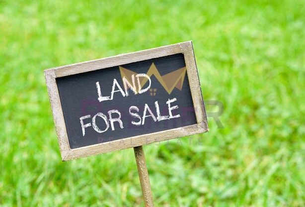 Имоти Премиер - имот - 731107, Площ: 2935 м<sup>2</sup>, Цена: 160000 EUR