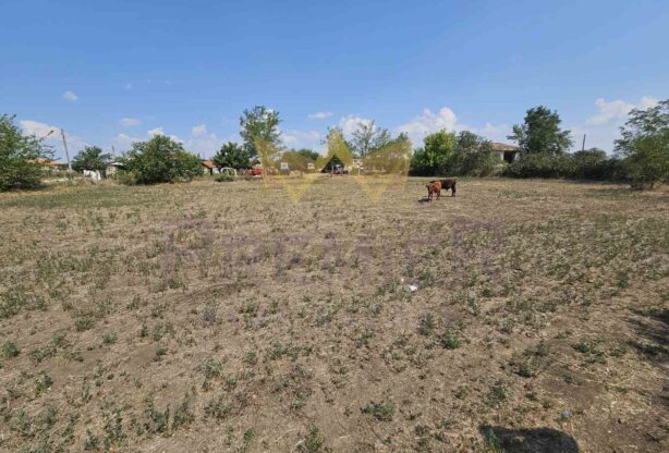 Имоти Премиер - имот - 786177, Площ: 1990 м<sup>2</sup>, Цена: 12000 EUR