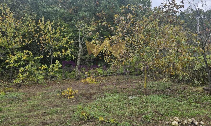 Агенция за недвижими имоти - Имоти Премиер - имот - 1099793, Цена: 168000 EUR