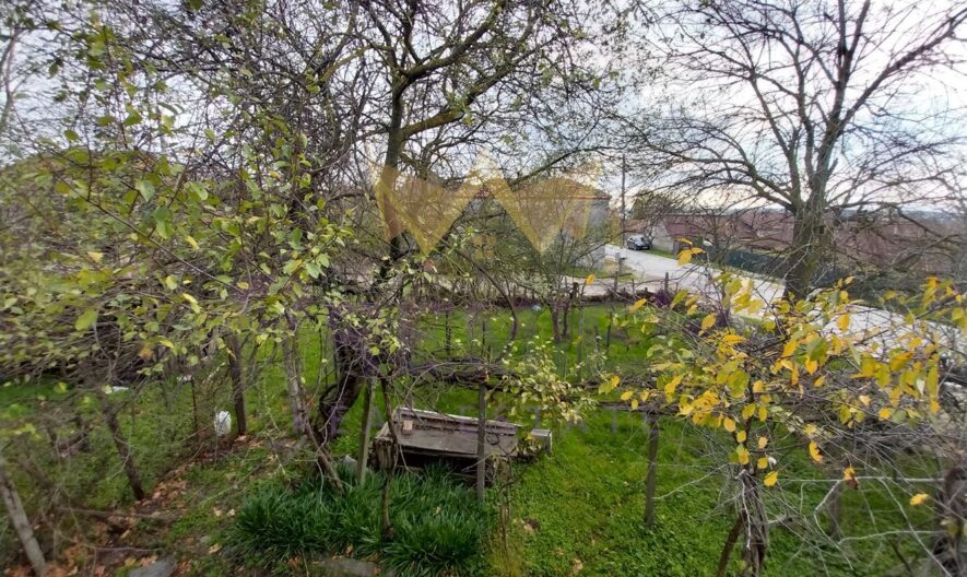 Агенция за недвижими имоти - Имоти Премиер - имот - 1103552, Цена: 164000 EUR