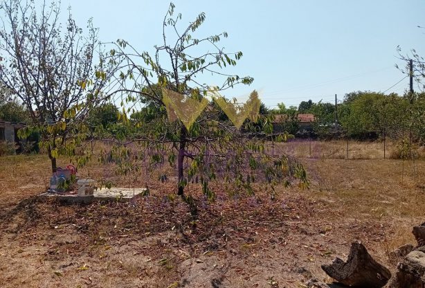 Агенция за недвижими имоти - Имоти Премиер - имот - 929063, Цена: 75000 EUR