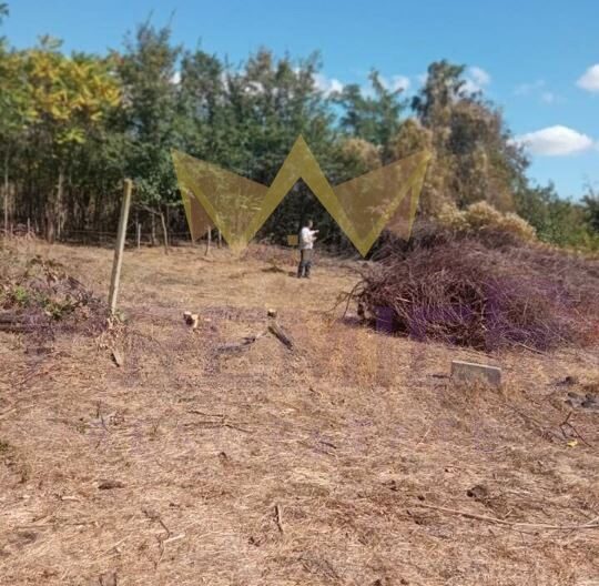 Къща във вилната зона на Провадия - - снимка 3 - Имоти Премиер