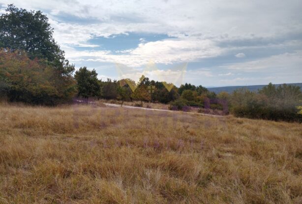 Код на имот: 1008755, Площ: 705 м<sup>2</sup> кв.м, Имоти Премиер - Цена: 58000 EUR