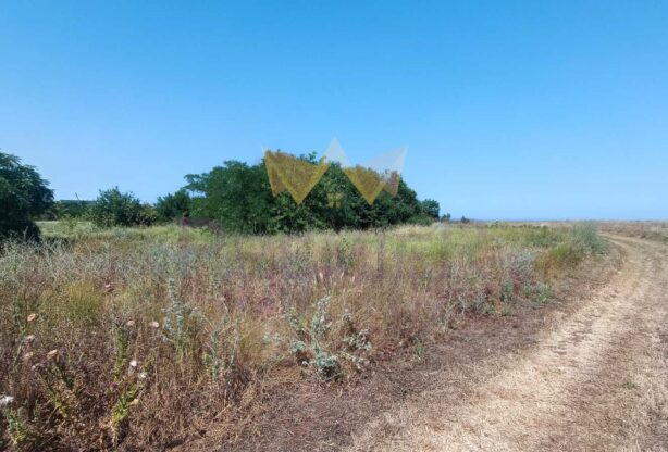 Код на имот: 1035890, Площ: 1125 м<sup>2</sup> кв.м, Имоти Премиер - Цена: 39800 EUR