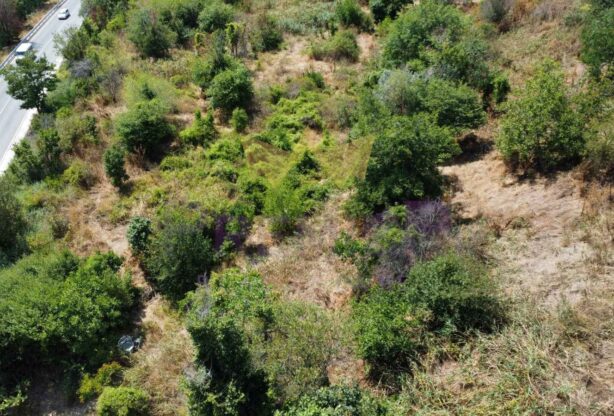 Код на имот: 1061734, Площ: 555 м<sup>2</sup> кв.м, Имоти Премиер - Цена: 25000 EUR