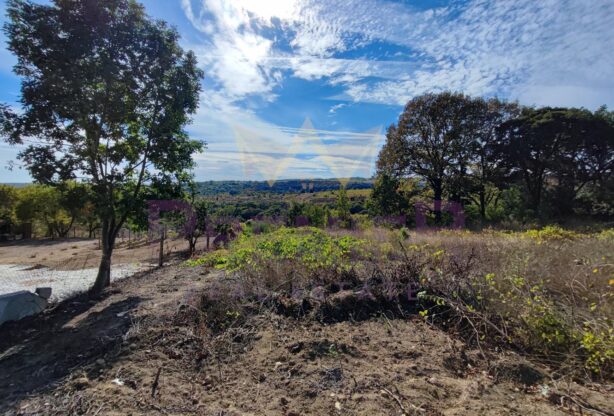 Код на имот: 729826, Площ: 1367 м<sup>2</sup> кв.м, Имоти Премиер - Цена: 55000 EUR