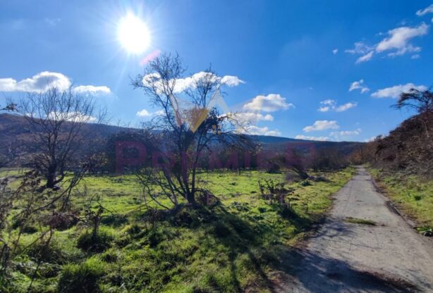 Код на имот: 975956, Площ: 4524 м<sup>2</sup> кв.м, Имоти Премиер - Цена: 60000 EUR