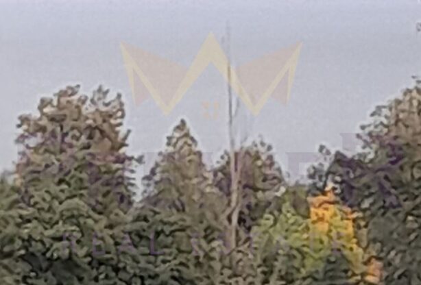 Агенция за недвижими имоти - Имоти Премиер - имот - 1105390, Цена: 1960 EUR